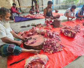 Distribute Qurbani Meat Between Poor Families