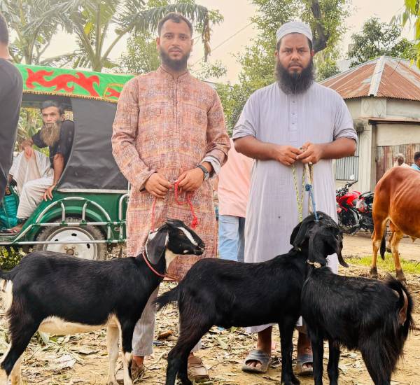 Your Qurbani Can Help A Helpless People